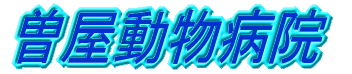 �o�i�[